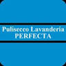 Pulisecco Perfecta S.R.L.