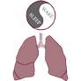 Pulmonary and Sleep Specialists of Northeast Georgia