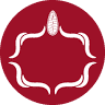 Pulpa De Cacao