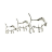 Pumba Safari Cottages