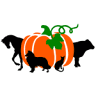 Pumpkin Hill Veterinary Clinic
