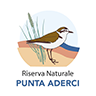 Spiaggia di Punta Penna