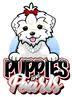 Puppies and Pearls
