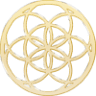 Pura Vida Oils