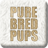 Purebred Pups