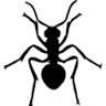 PURPLE PEST