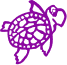 Purple Turtle Enterprises Ltd