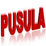 Pusula Newspaper