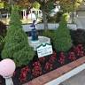 Pleasant Valley Miniature Golf