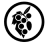 Portugal Wine Castes