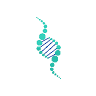 Paradigm Wellness Medical Group