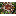 Qshop by Qdyckia