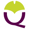 Qisolute Advocaten