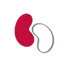 Queensland Nephrology