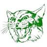 Quapaw Public Schools