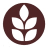 Queensland Bakery Co
