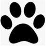 Quesnel Veterinary Clinic