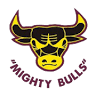 Quinns Districts Amateur Football Club