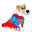 Raaw Energy Dog Food Raw Dog Food