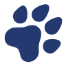 Racivet - Rações, Equipamentos E Veterinária, Lda.