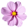 Rainflowers Florist