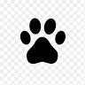 Raintree Veterinary Clinic and Rehabilitation Centre