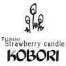 Kobori Hinodedo