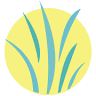 Raleigh Natural Wellness (formerly The Natural Medicine Center of Raleigh)