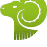 Ram Digital Ltd
