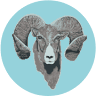 RAM Forest Products, Inc.