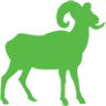 Ram Industrial Design