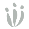 Ramsaier Bestattungen GmbH
