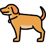 R&R Pet Lifestyle and Supply