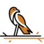 Raptor Pest Control