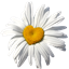 Rašelina a. s.