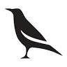 Raven Studio