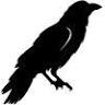 Raven's Wish Gallery