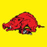 Razorback Camper Sales, Inc.