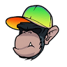 Rc Monkey Shop