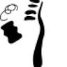Red Deer Dental