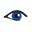Regional Eye Associates