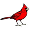 Red Bird Animal Clinic
