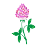 Red Clover Inn
