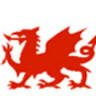 Red Dragon Holidays