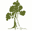 Redmond Veterinary Clinic