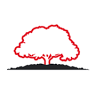 Matt Pittman - Red Oak Insurance Agency