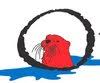 Red Otter Outfitters