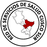 Red de Servicios de Salud Cusco Sur