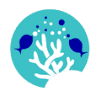 Reef and Fins LLC