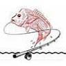 Reel Screamer Fishing Charters